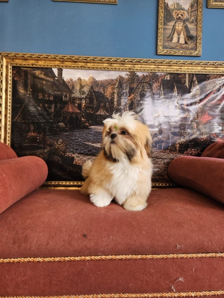 Foto de capa