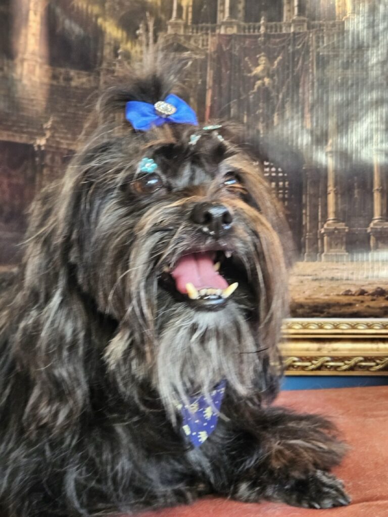 Foto de capa