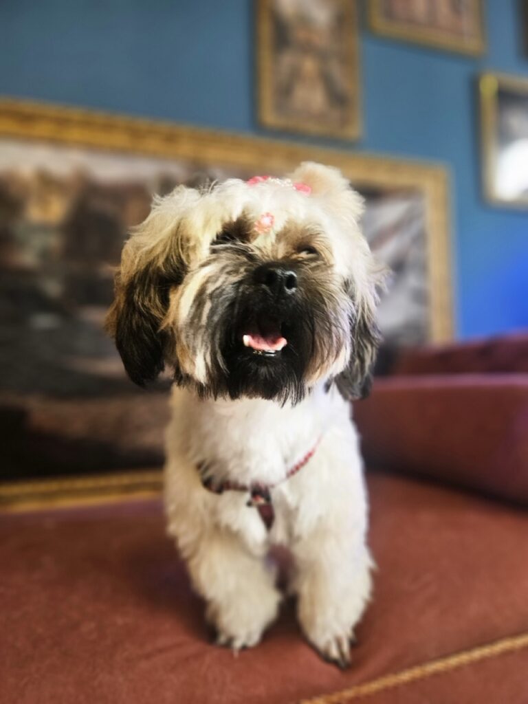 Foto de capa