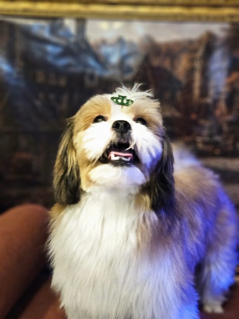 Foto de capa
