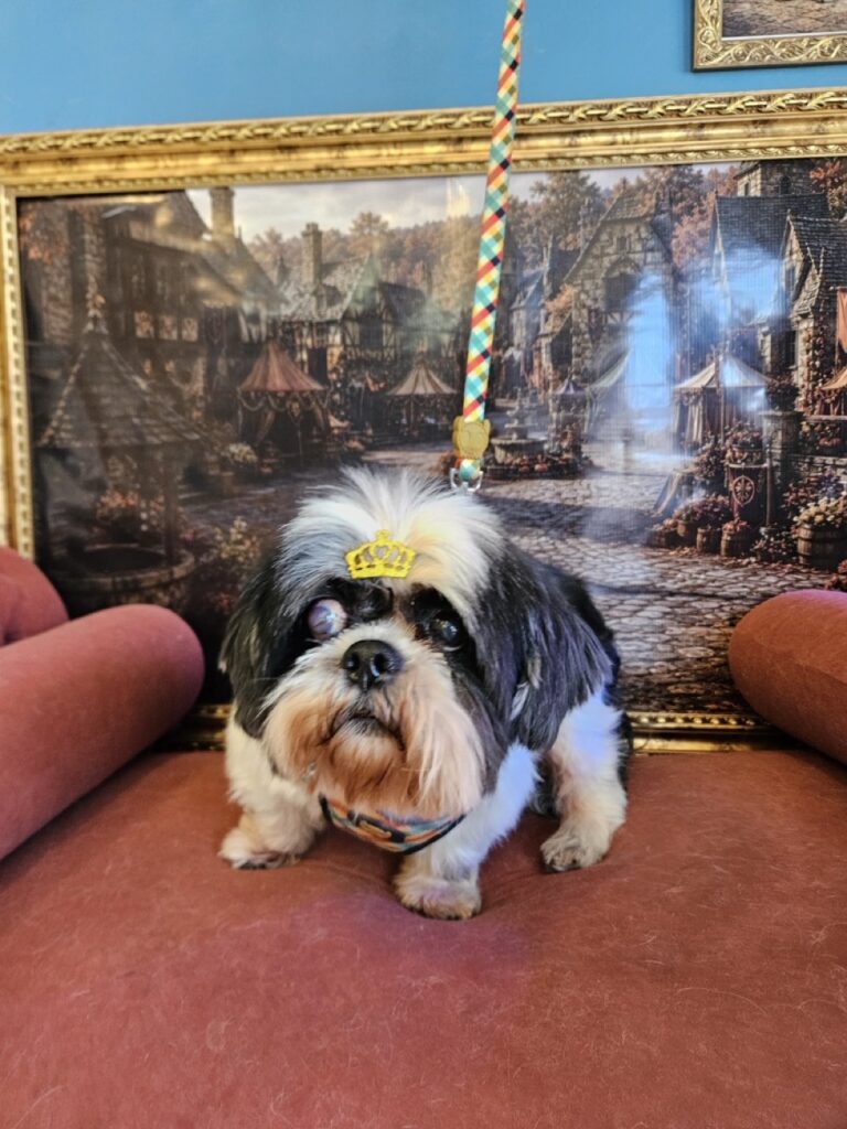 Foto de capa