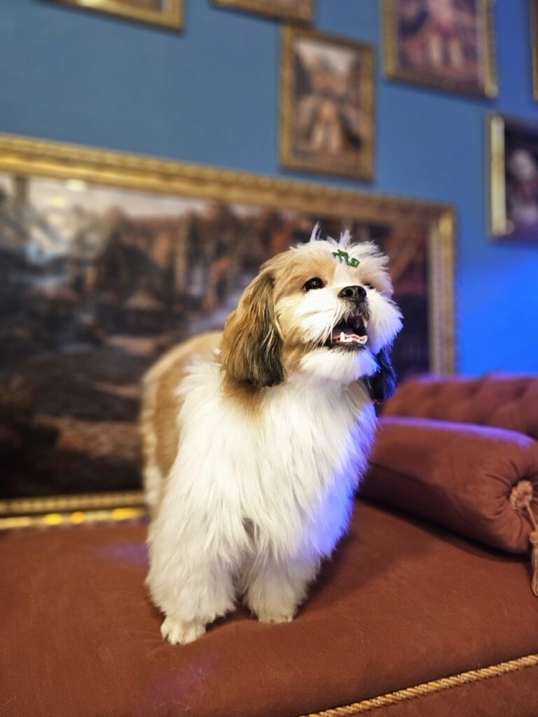 Foto de capa