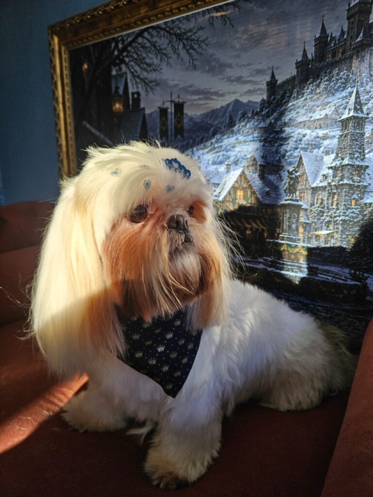 Luna Kazmierczak na Realeza Pets, foto 14