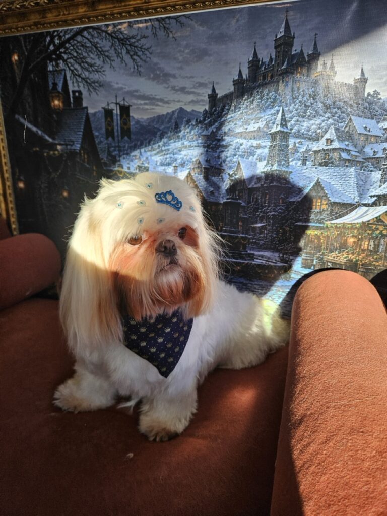 Luna Kazmierczak na Realeza Pets, foto 15