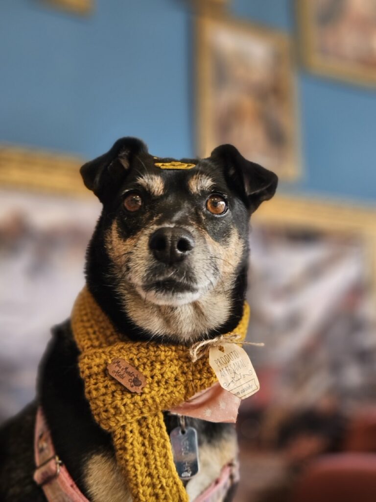 Foto de capa