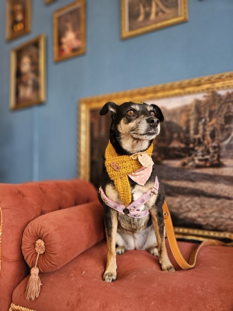 Foto de capa