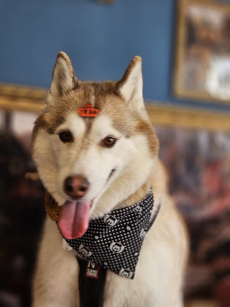Foto de capa