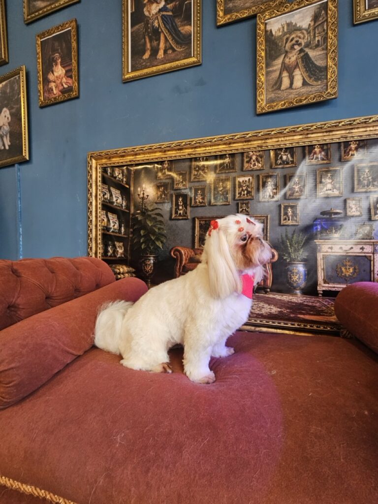 Luna Kazmierczak na Realeza Pets, foto 25