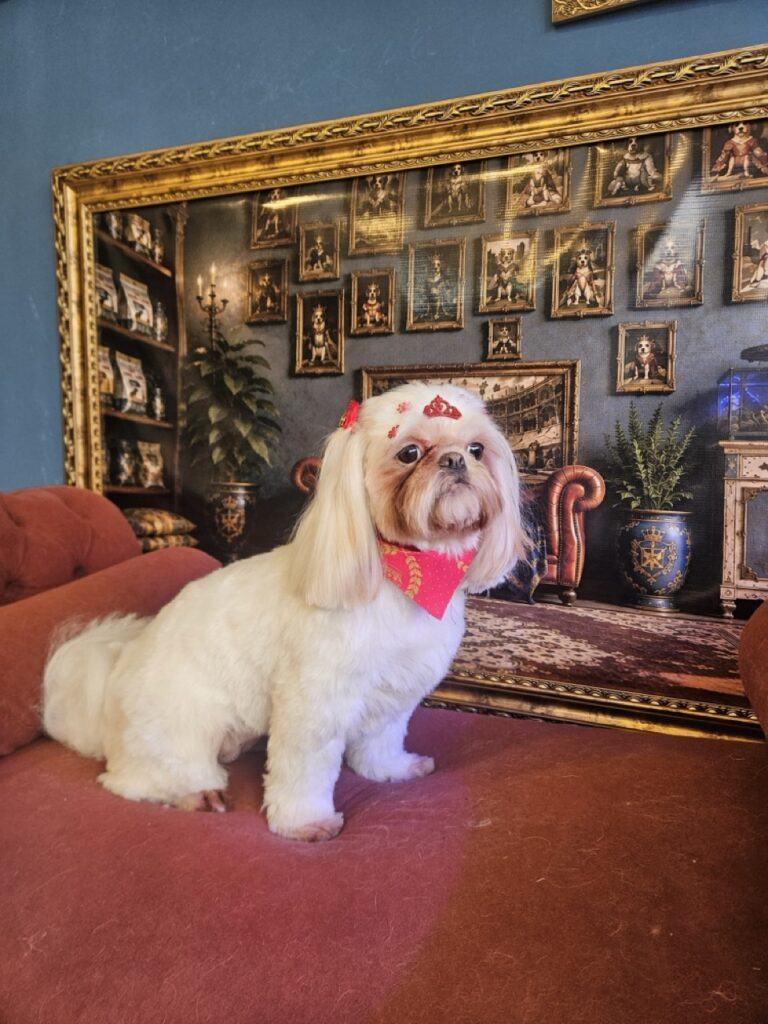 Luna Kazmierczak na Realeza Pets, foto 26