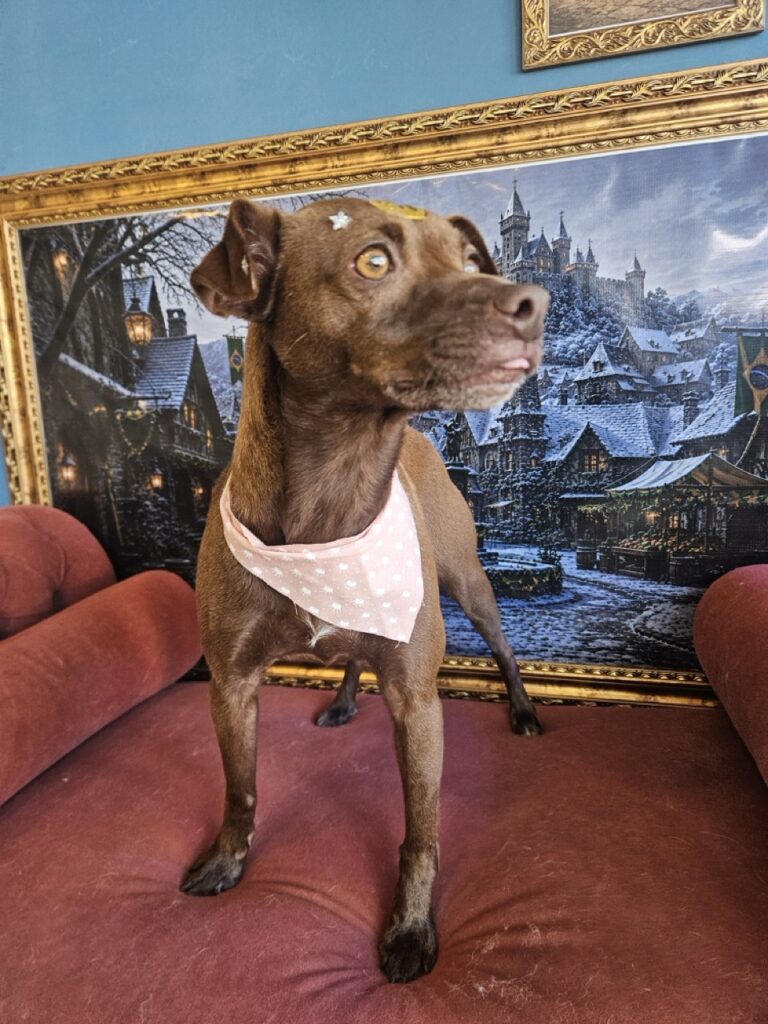 Foto de capa