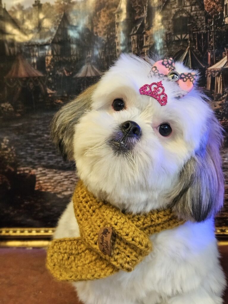 Foto de capa