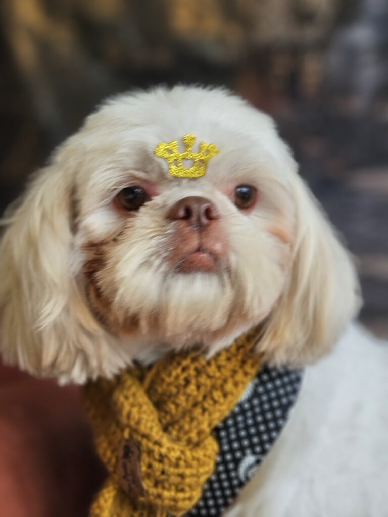 Foto de capa