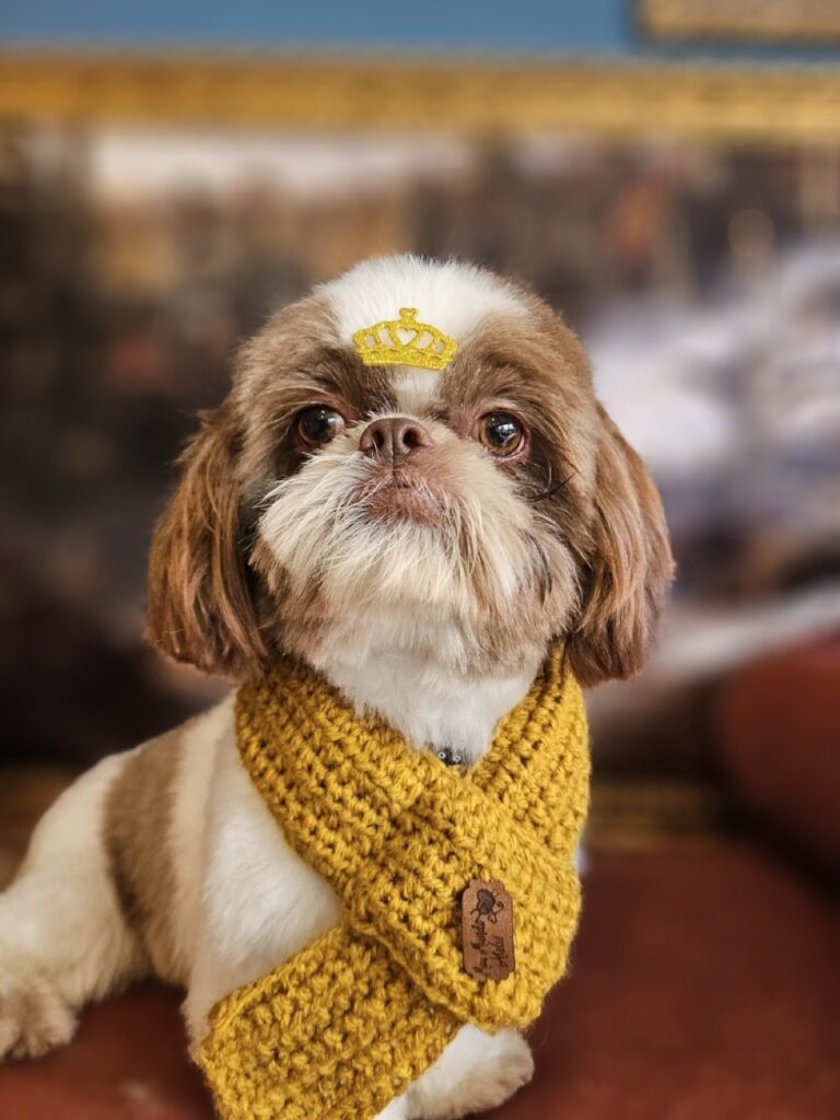 Foto de capa