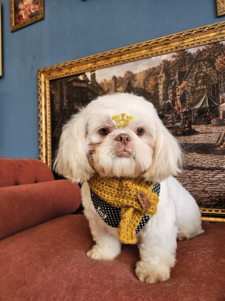 Foto de capa