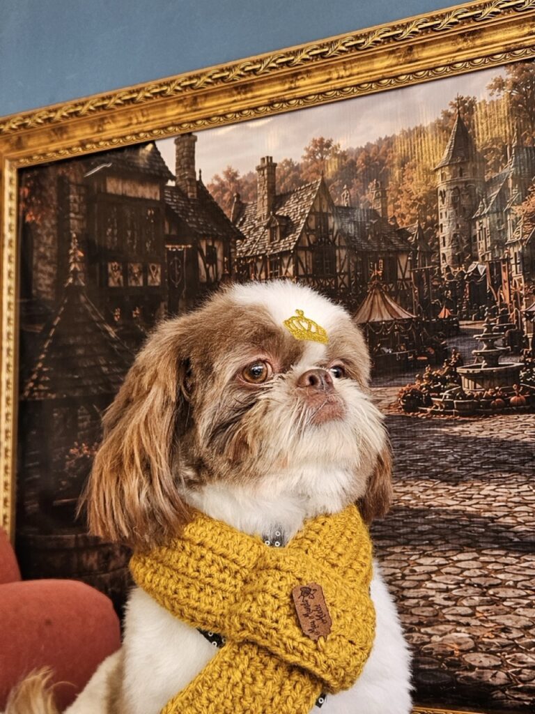 Foto de capa