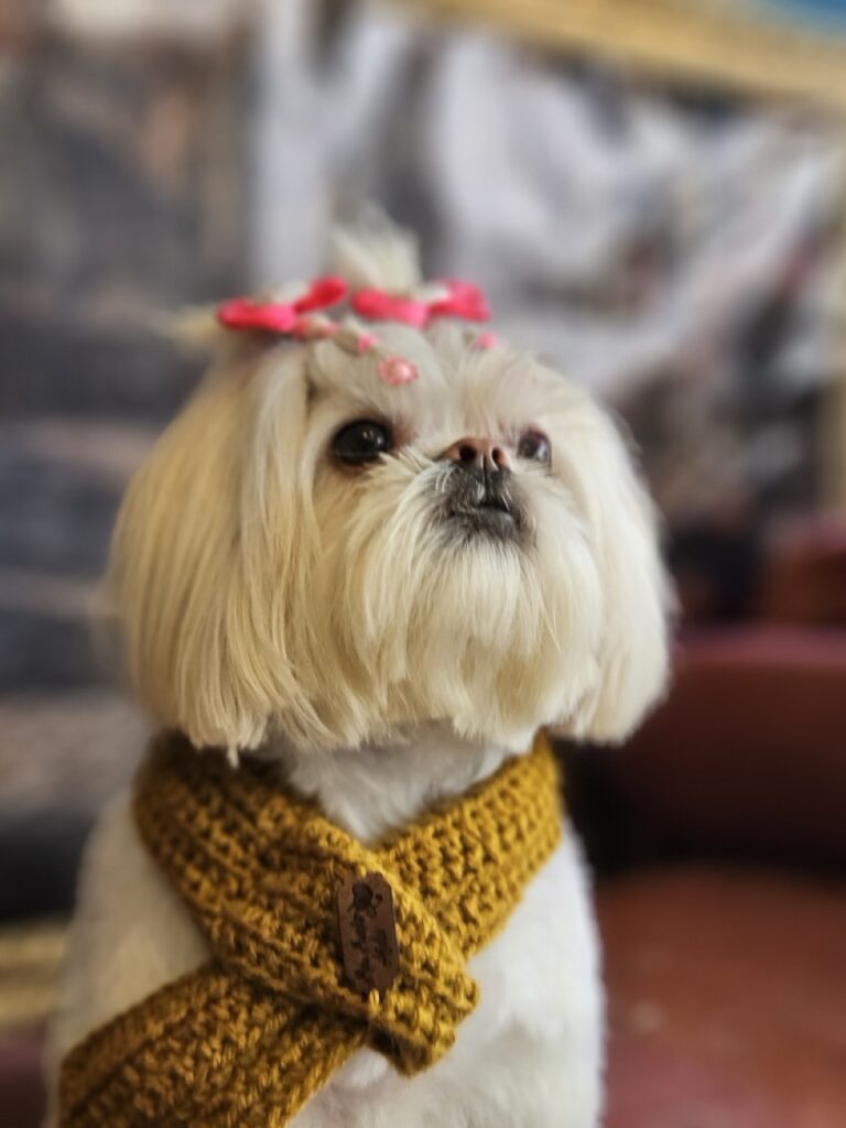 Foto de capa