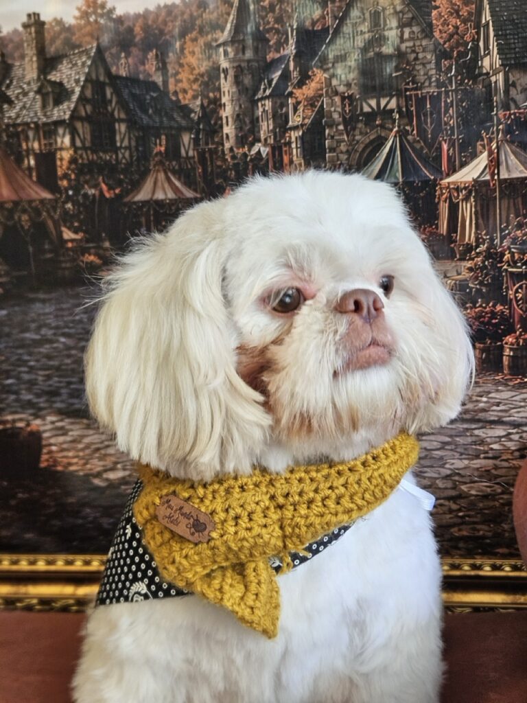 Foto de capa