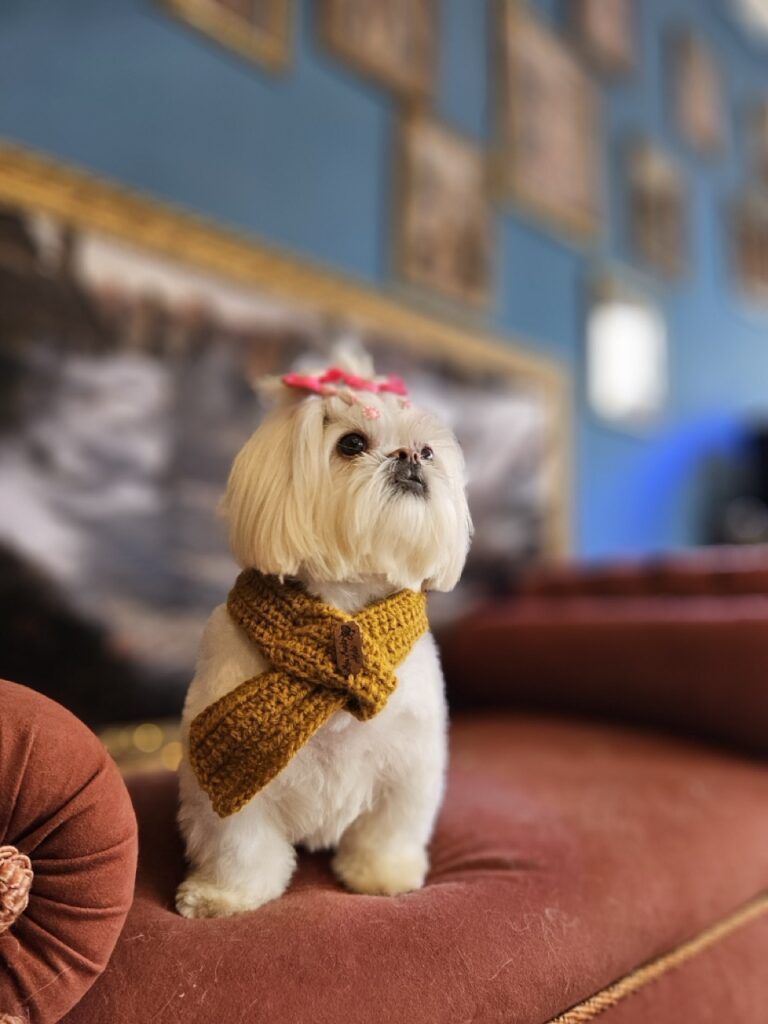 Foto de capa