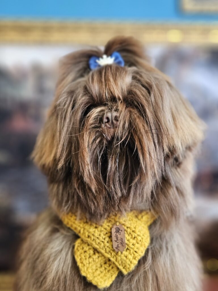 Foto de capa