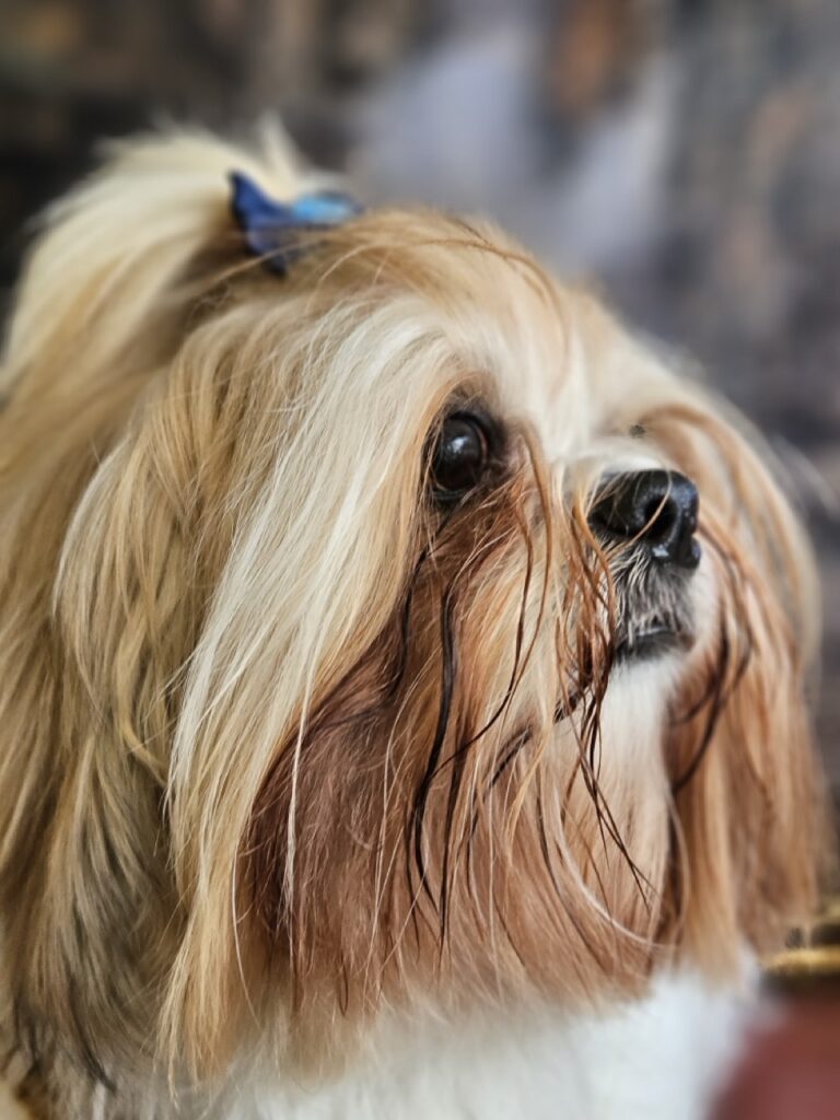 Foto de capa