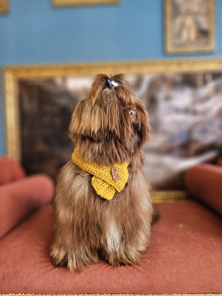 Foto de capa