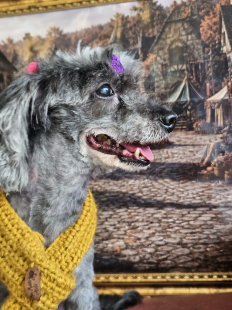 Foto de capa