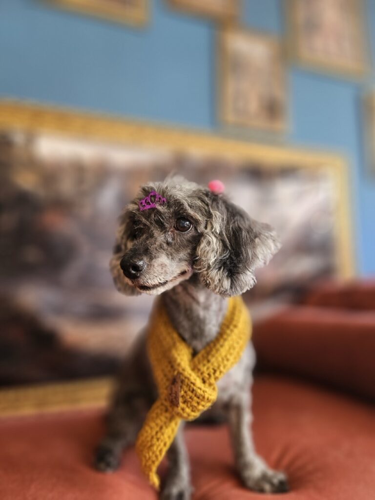 Foto de capa