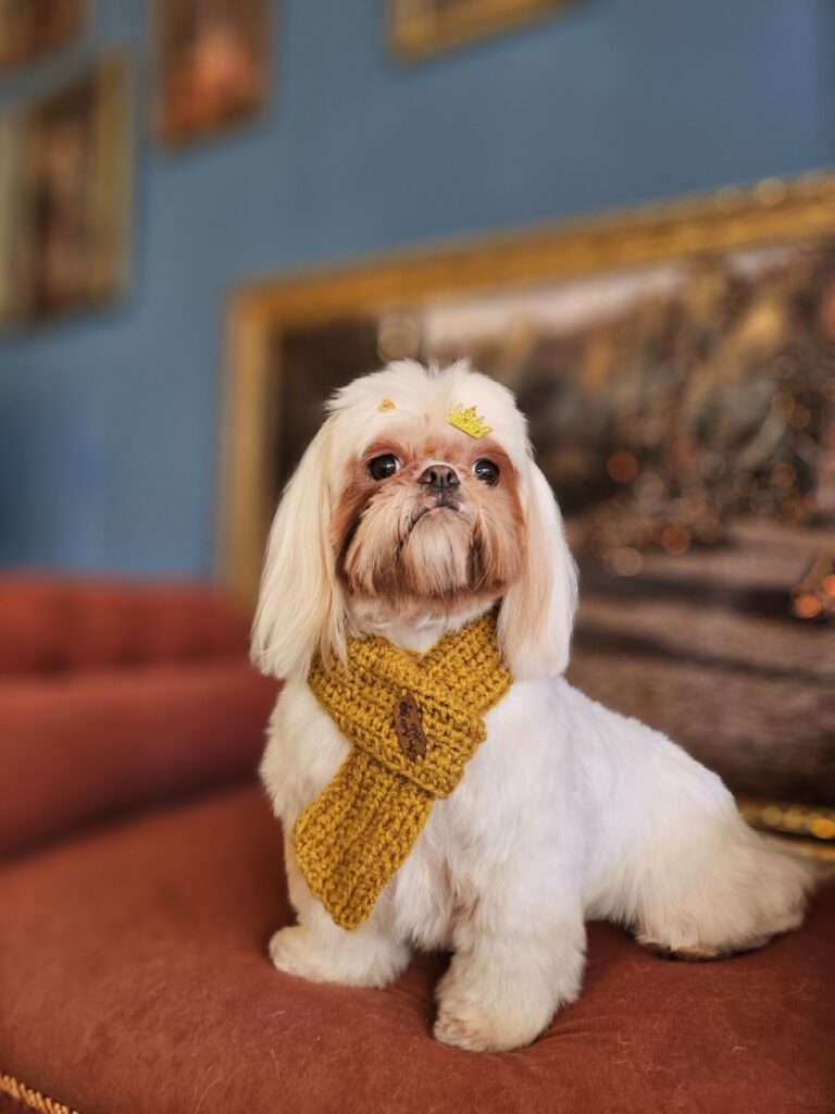 Foto de capa
