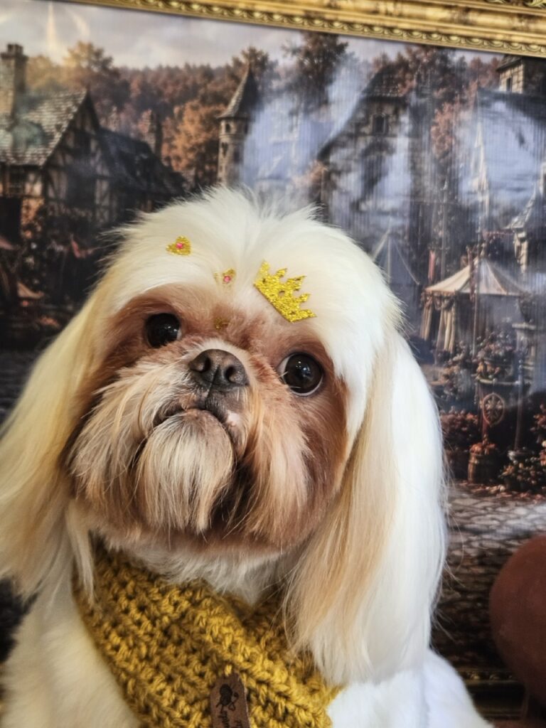 Luna Kazmierczak na Realeza Pets, foto 5