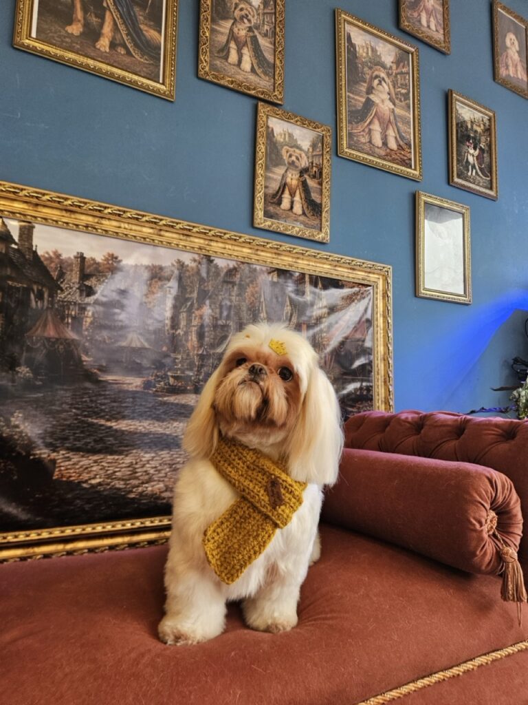 Luna Kazmierczak na Realeza Pets, foto 6