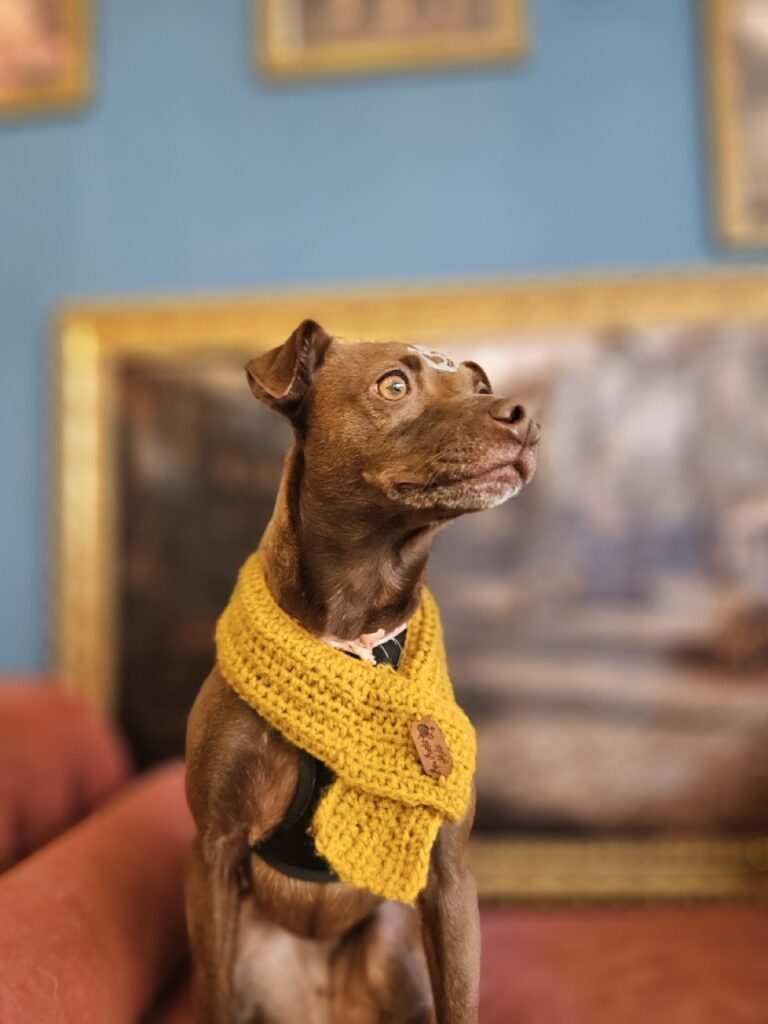 Foto de capa