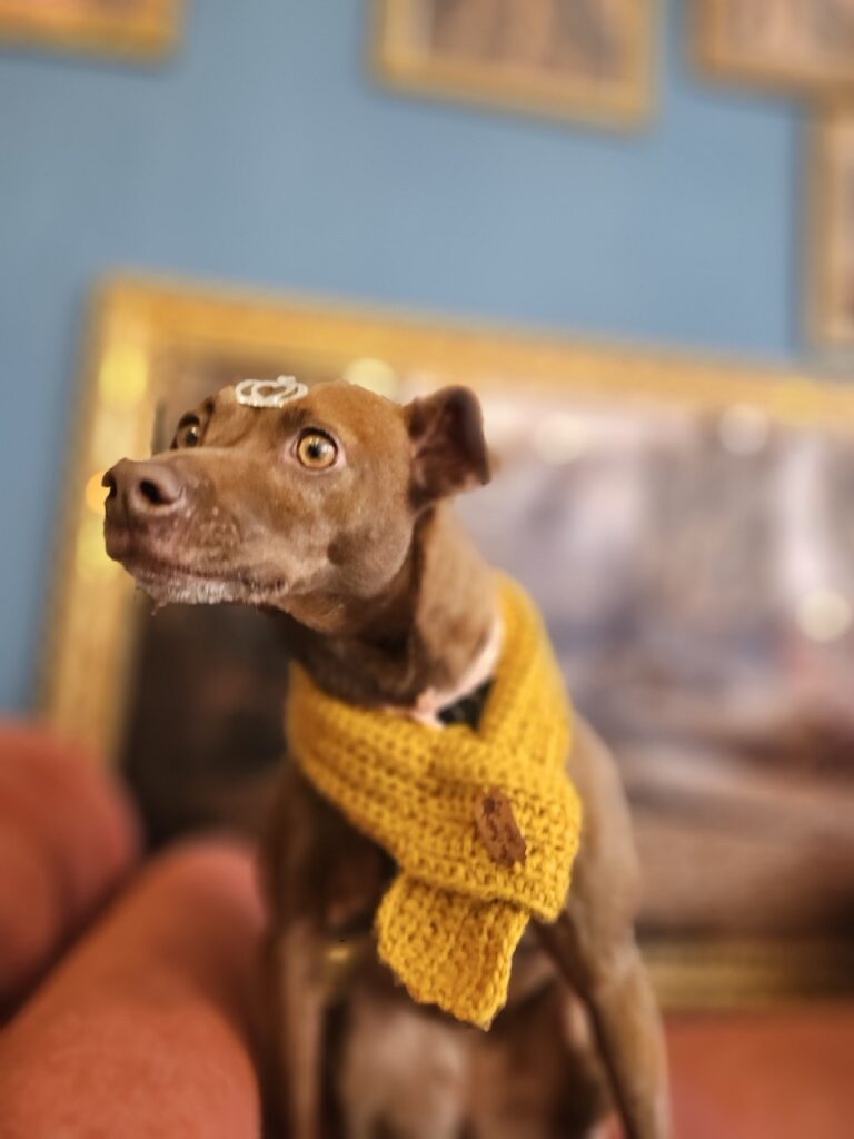 Foto de capa
