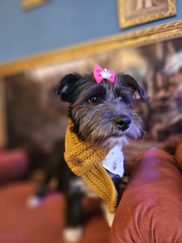Foto de capa
