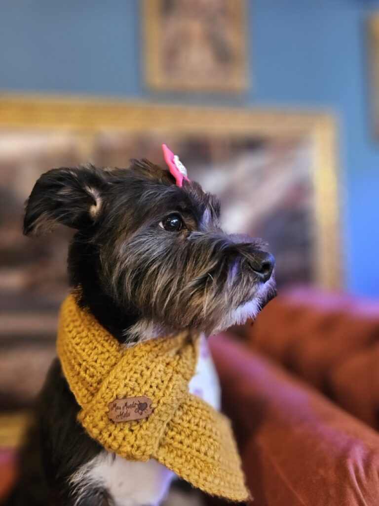 Foto de capa