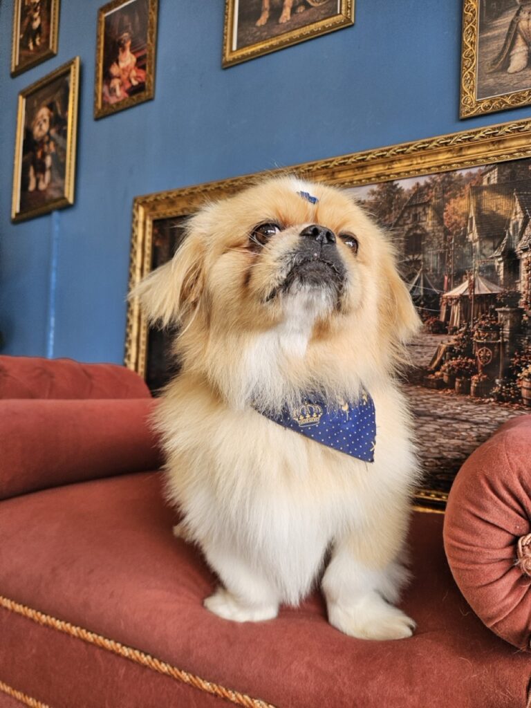 Foto de capa