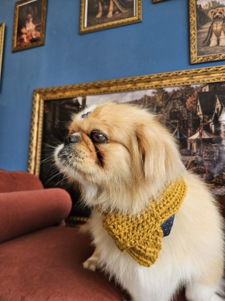 Foto de capa