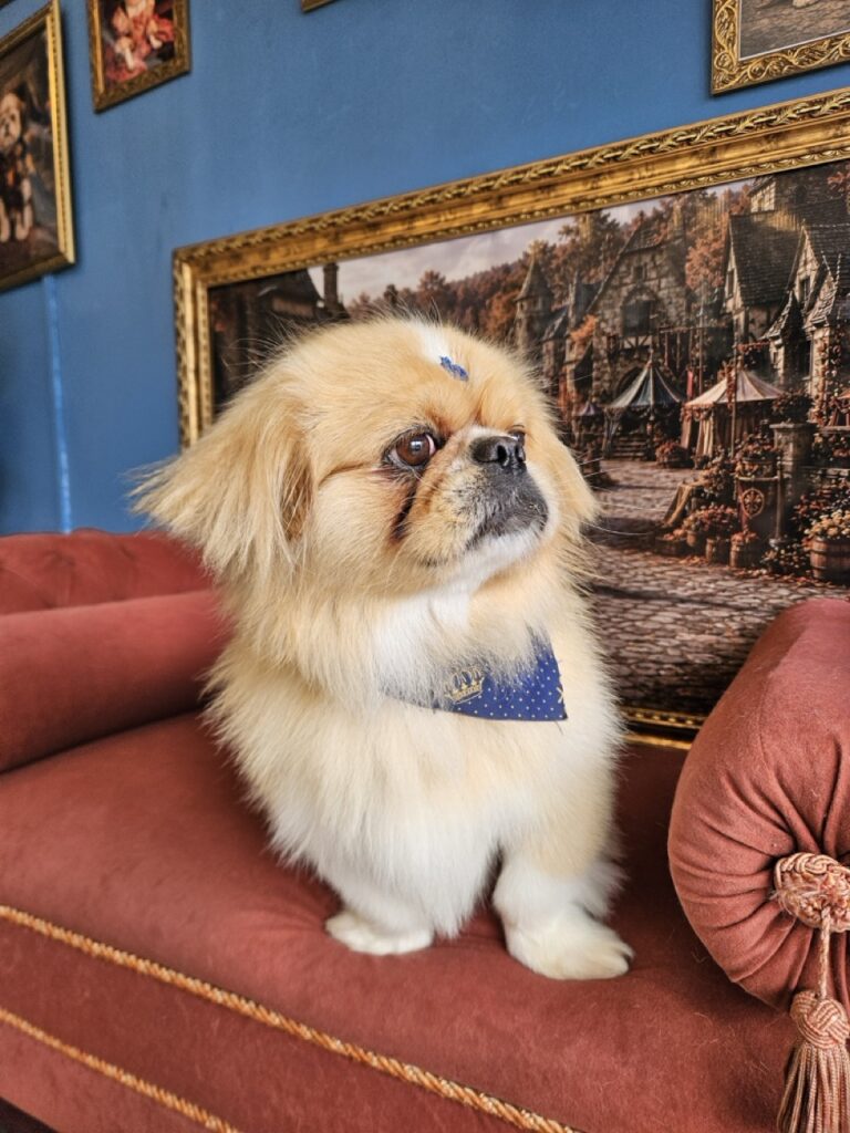 Foto de capa