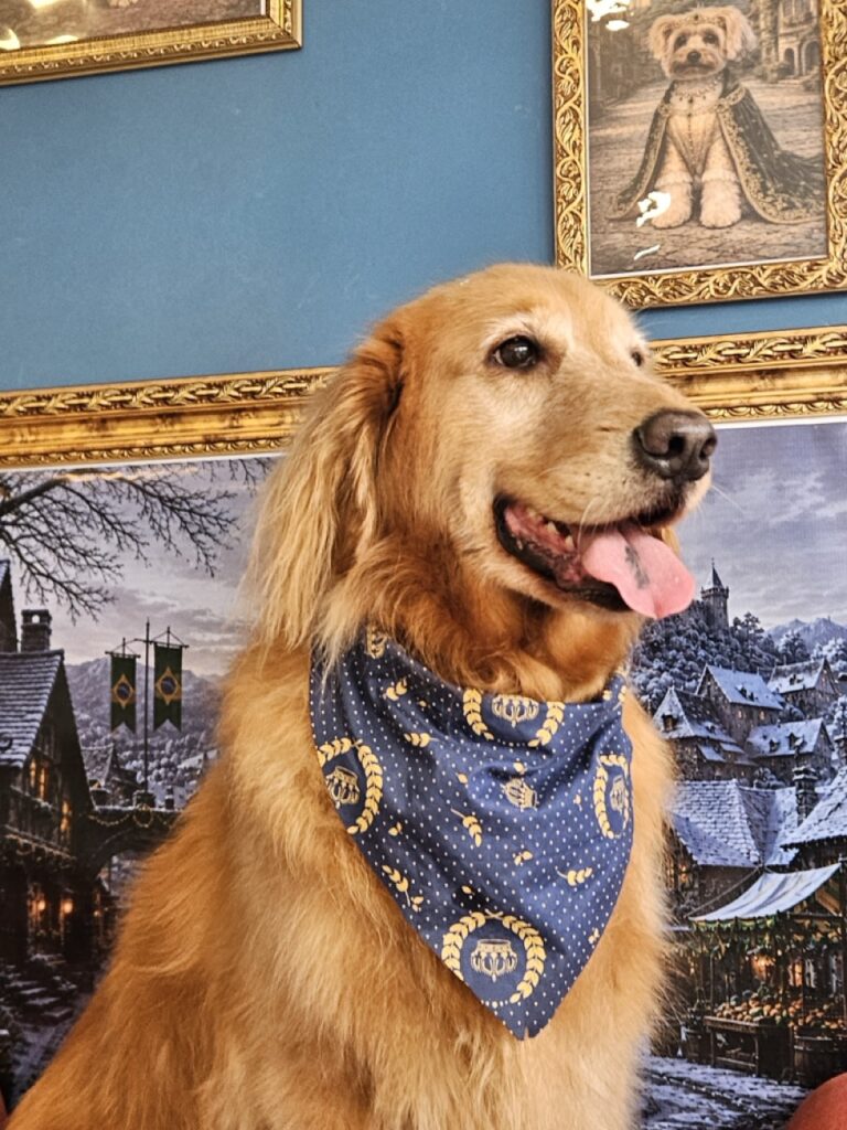 Hannah, Golden Retriever atendido na Realeza Pets