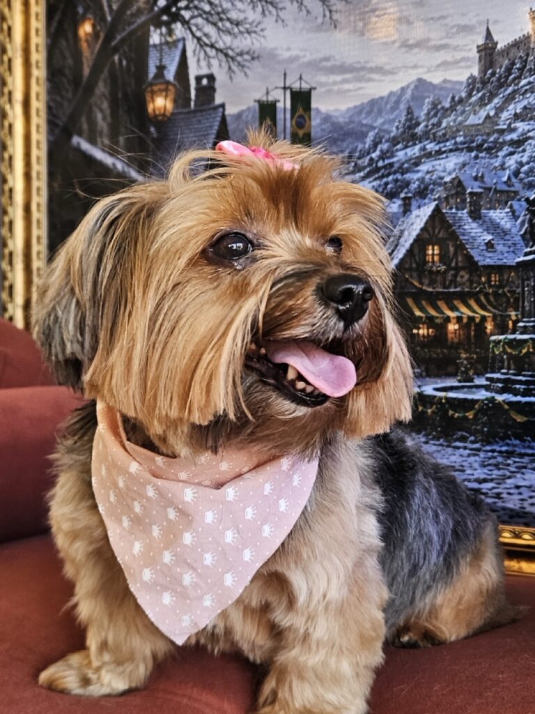 Nalu na Realeza Pets, foto 10