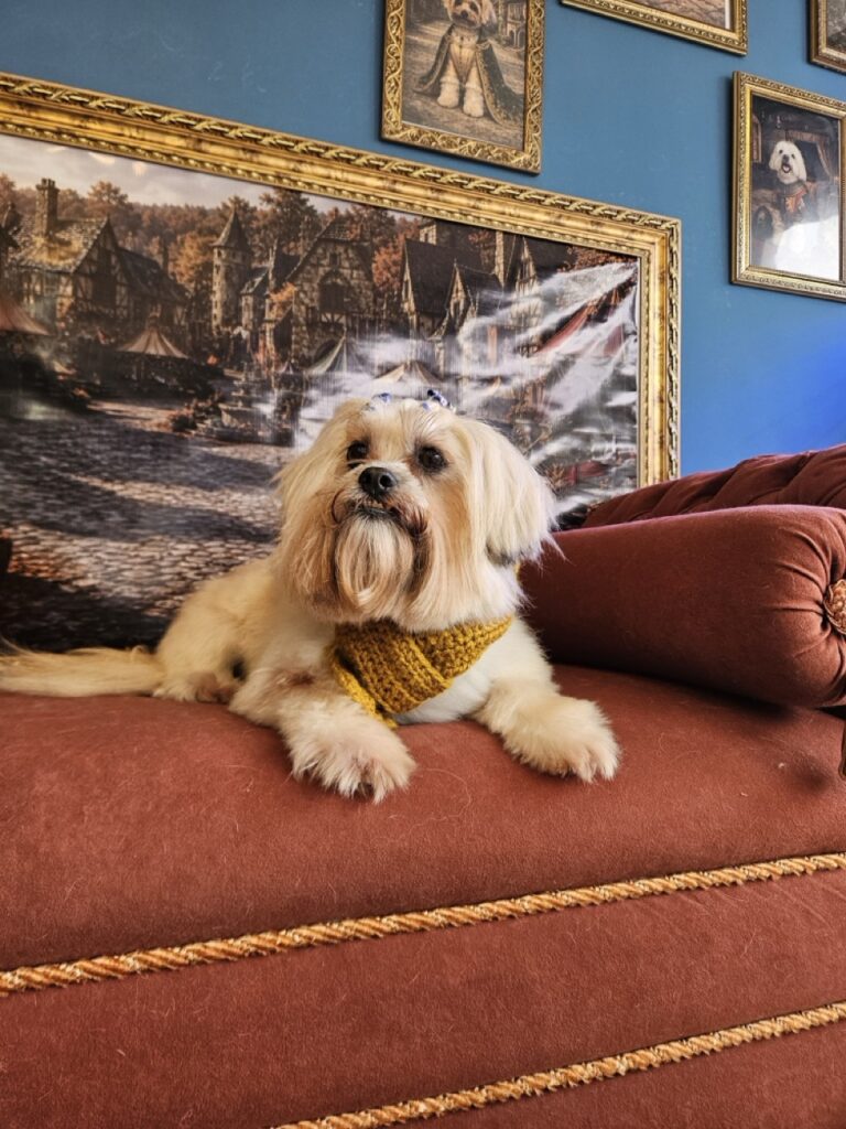 Foto de capa