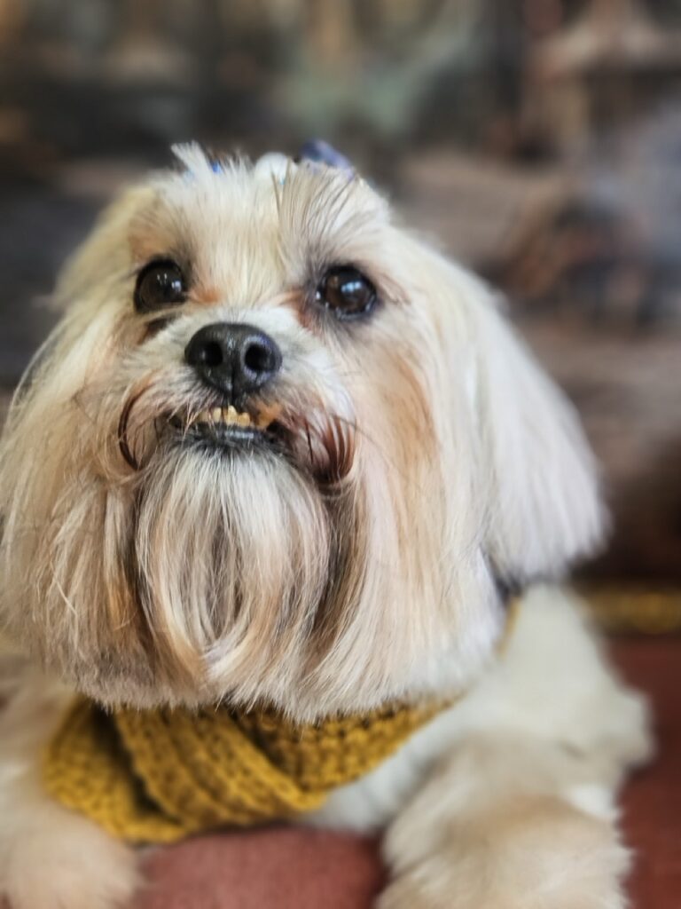 Foto de capa