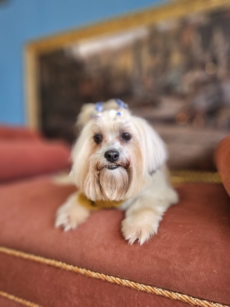 Foto de capa