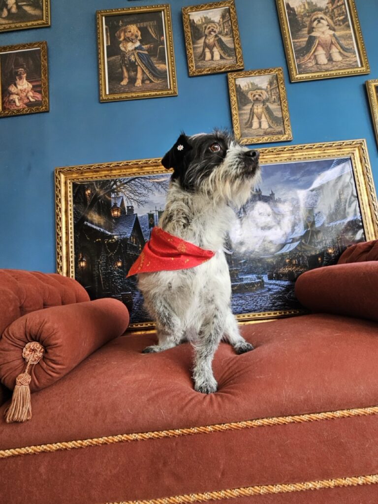 Foto de capa