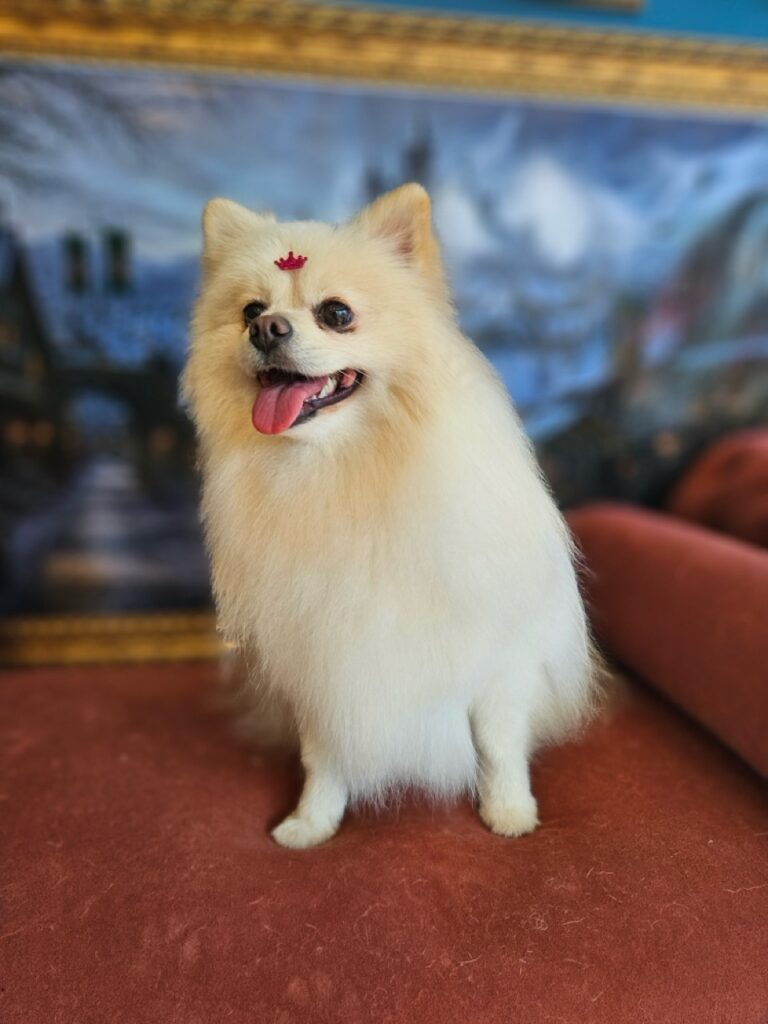 Foto de capa