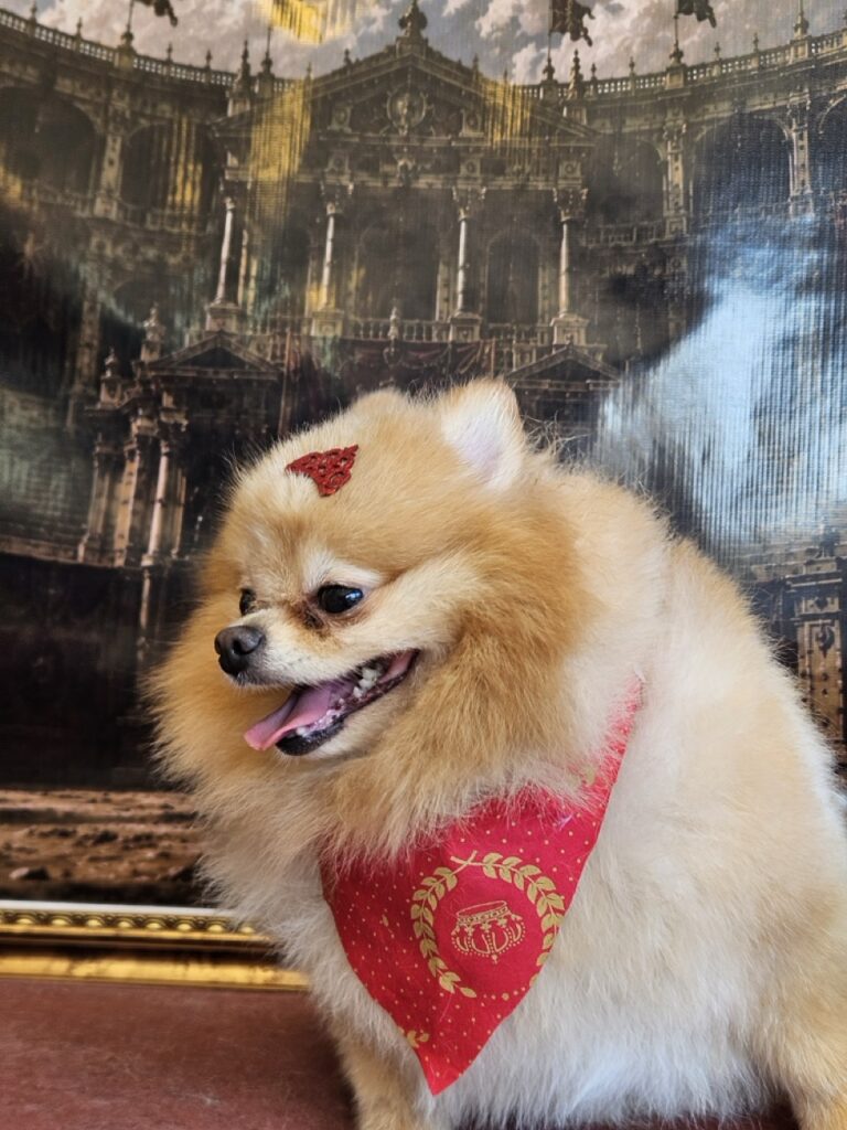 Foto de capa