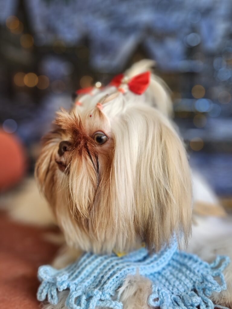 Foto de capa