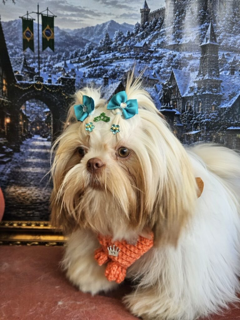 Foto de capa