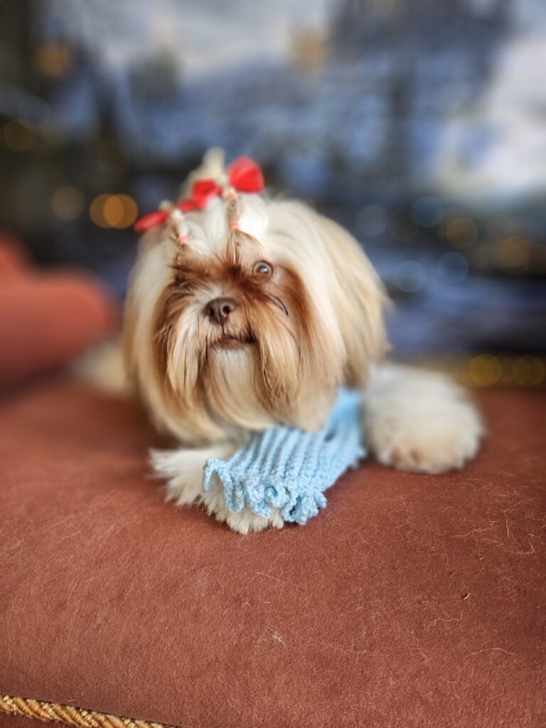 Foto de capa