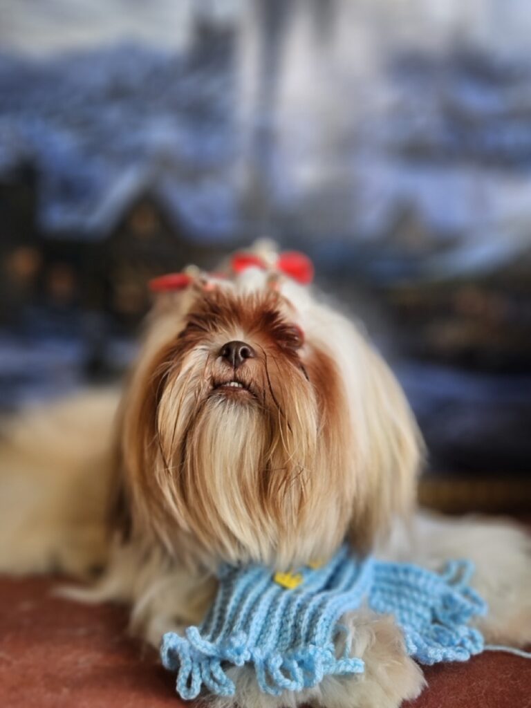Foto de capa
