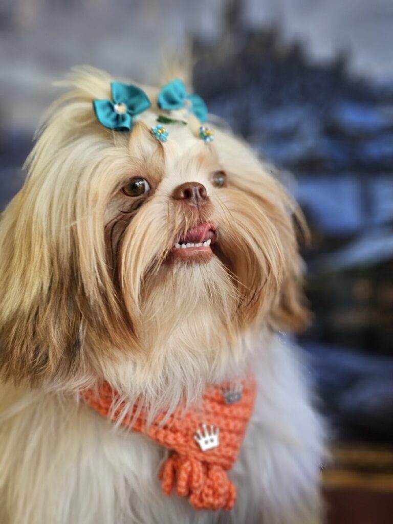 Foto de capa